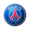 PSG Logo