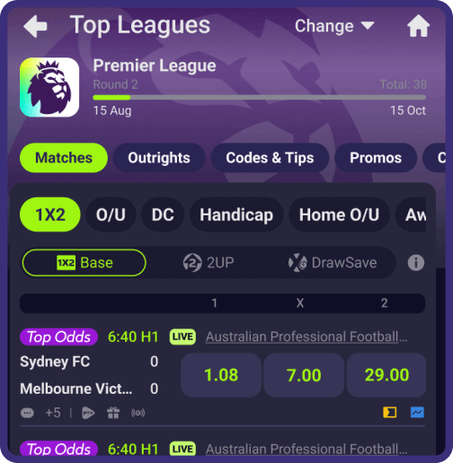 A picture shows the Matches tab